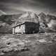 IMG_7D5944