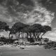 Plage des dames, Noirmoutier, Vendée 2025