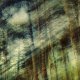 0002_IMG_8708