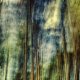 0003_IMG_8707