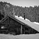 Photographie noir et blanc d'une cabane de chasseur dans la forêt de Bareille, Hautes-Pyrénées