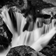 Photographie noir et blanc d'un torrent Pyrénéen.