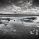 IMG_7D5804